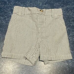 5 for $20! Cute baby boys shorts 12 months, green dog brand